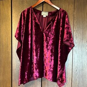 Velvet Burgundy Women's Top